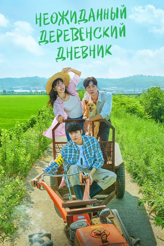 Неожиданный деревенский дневник
