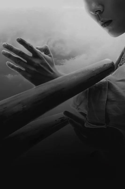 Ип Ман: Пробуждение