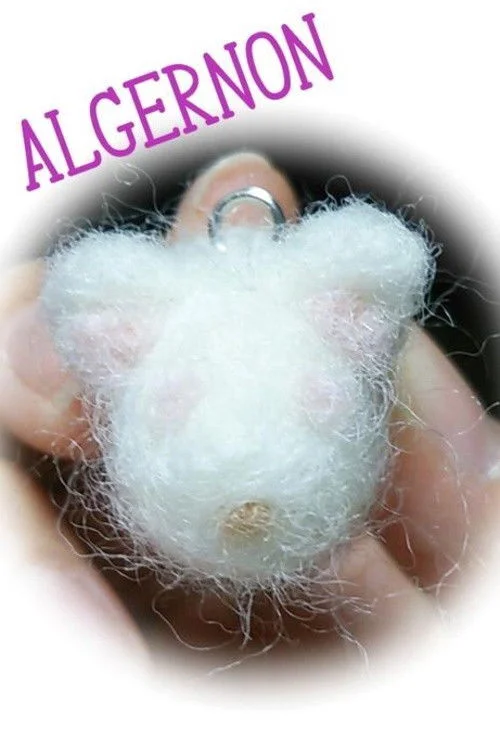 Цветы для Элджернона