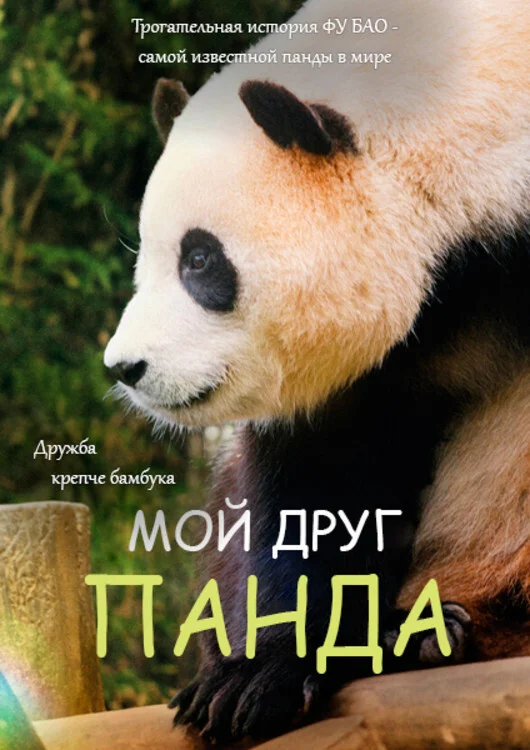 Мой друг панда