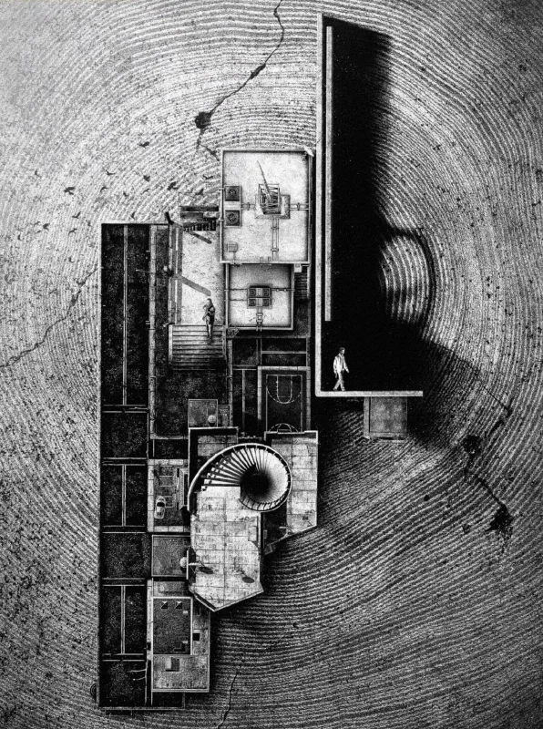 Чёрно-белый лес