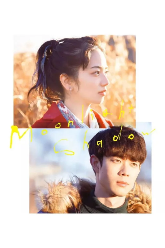 Лунная тень